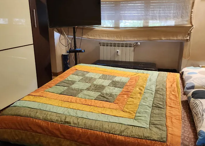 Romans Flaminio בית הארחה רומא